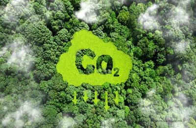Năm 2025: Hoàn thiện và vận hành thí điểm sàn giao dịch tín chỉ carbon 